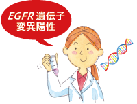 EGFR��`�q�ψٗz��