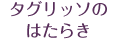 �^�O���b�\�̂͂��炫