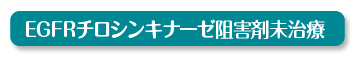 EGFR�`���V���L�i�[�[�j�Q�ܖ�����