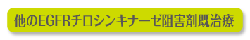 ����EGFR�`���V���L�i�[�[�j�Q�܊�����