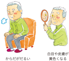 ���炾�����邢 ���ڂ�畆�����F���Ȃ�